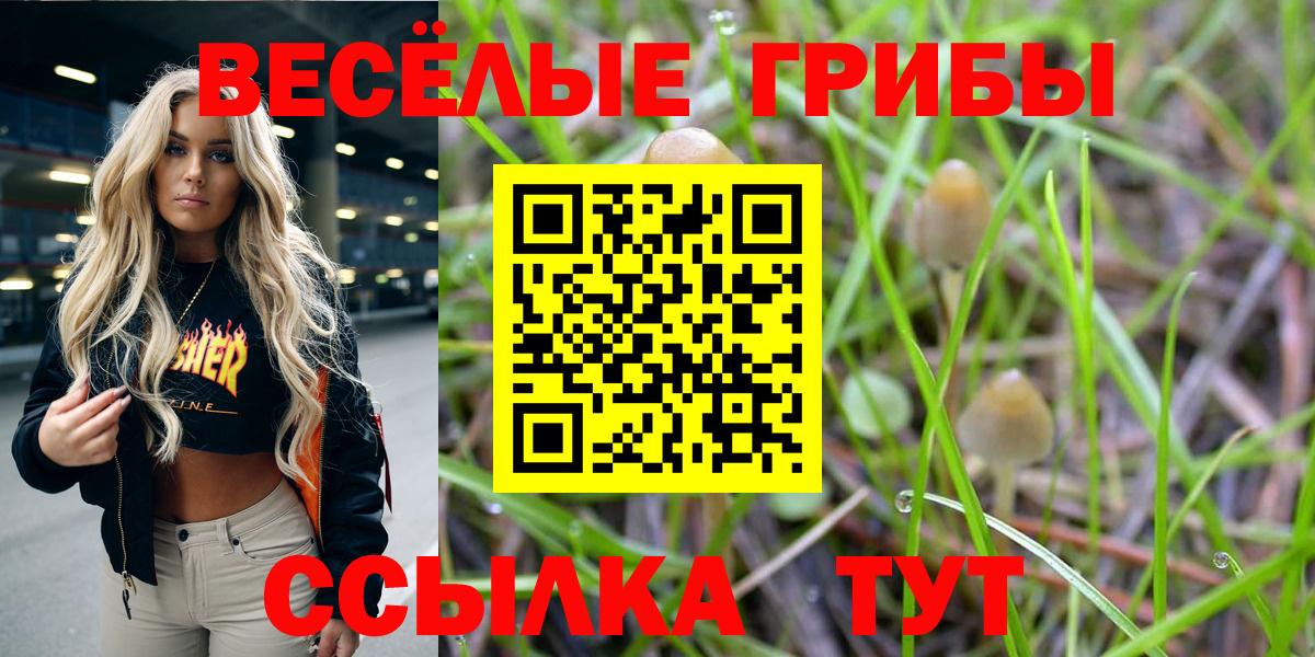 Галлюциногенные грибы мицелий  Вход с VPN  Псилоцибиновые грибы Cubensis  где купить   Лобня 